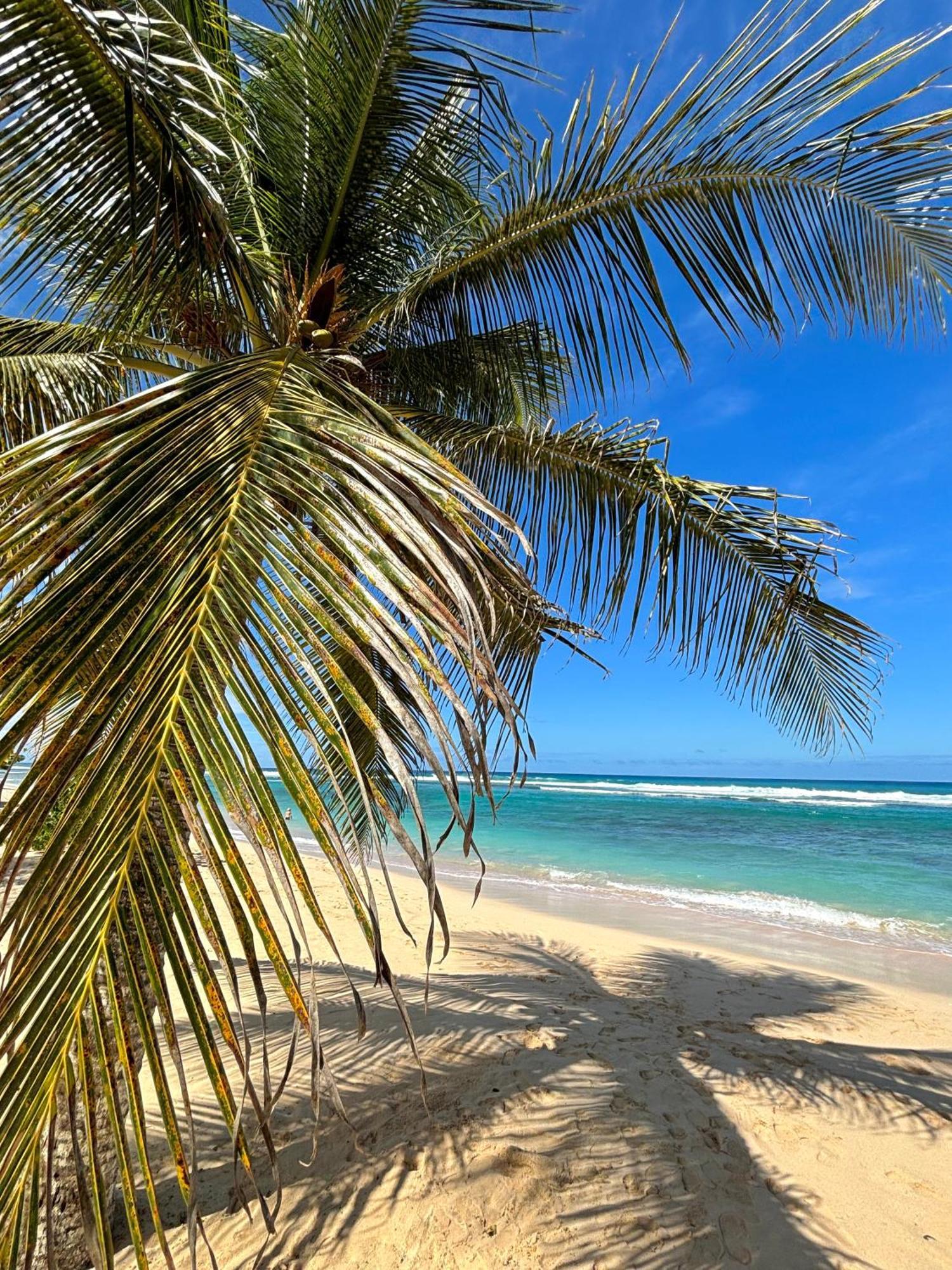 Вилла Lavann Wouj - Proche Des Plages Et Du Bourg Anse-Bertrand Экстерьер фото